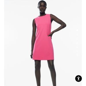 BLACK ZARA Skater Dress ( Not pink)